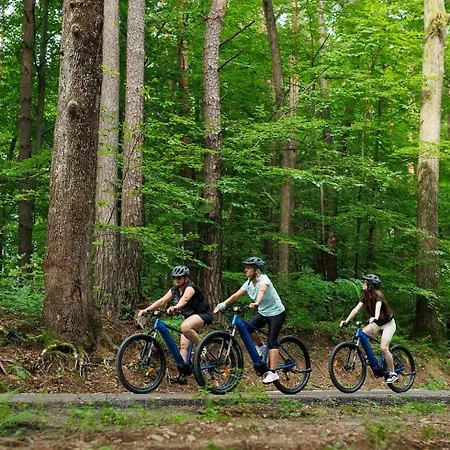 بيت ضيافة Rholl & Restaurant 3*